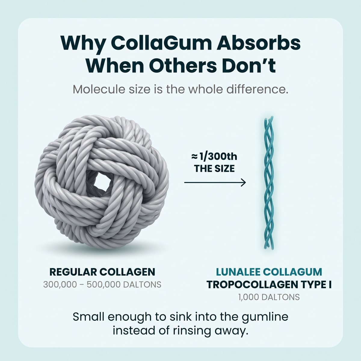 Restore Receding & Damaged Gums - CollaGum™